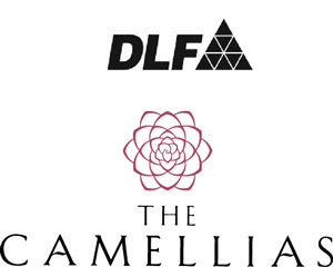 Dlf